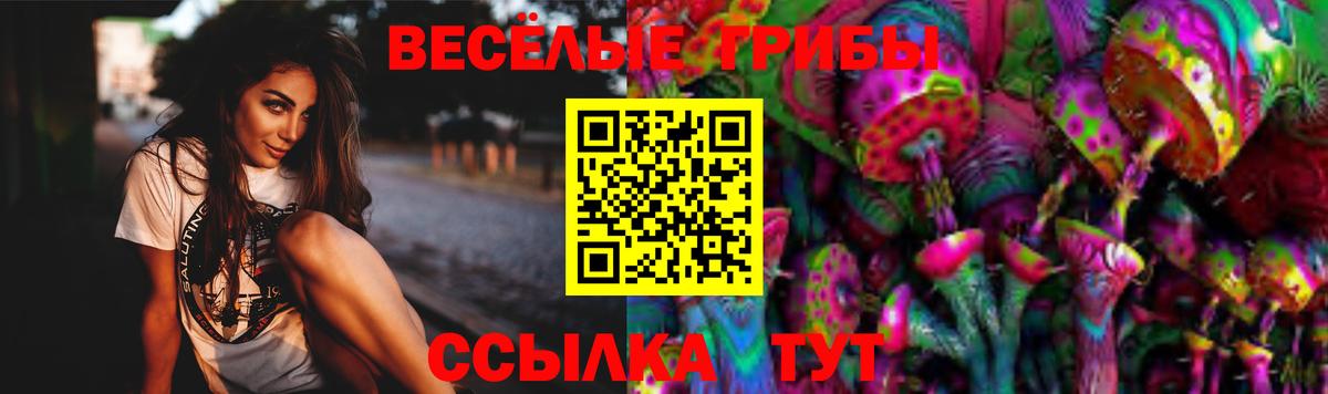 закладки  Галлюциногенные грибы Magic Shrooms  Галлюциногенные грибы Psilocybine cubensis  Вход с VPN  Чусовой 
